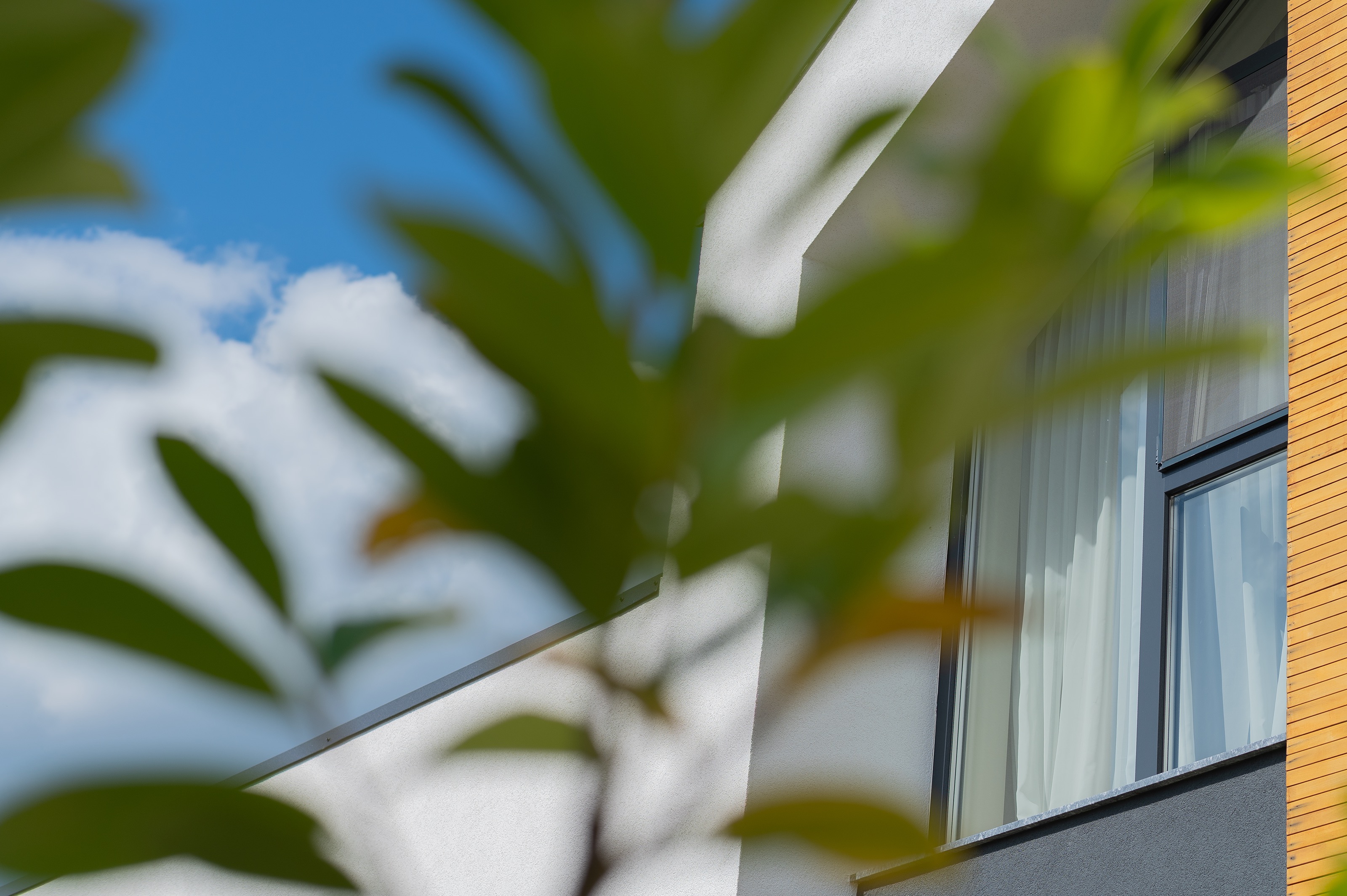 Detaliu arhitectural Casa U, P+1, MAD architecture&design, fațadă din lemn și tencuială albă, perspectivă filtrată prin vegetație, arhitectură contemporană integrată în peisaj.